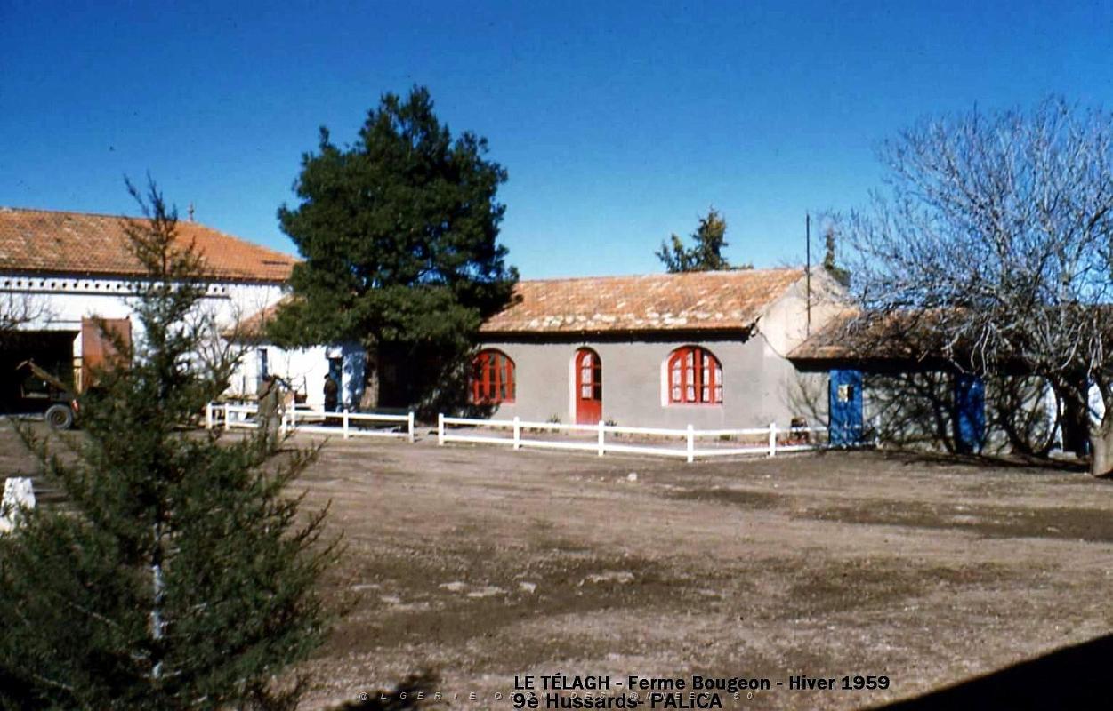 Palica - C- Le Telagh 031.JPG